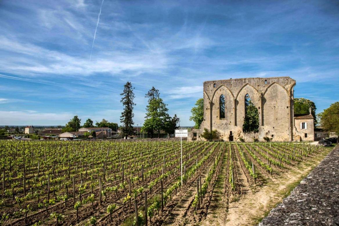 Maison Cosy Avec Vue Sur Les Vignes. Libourne Exteriér fotografie