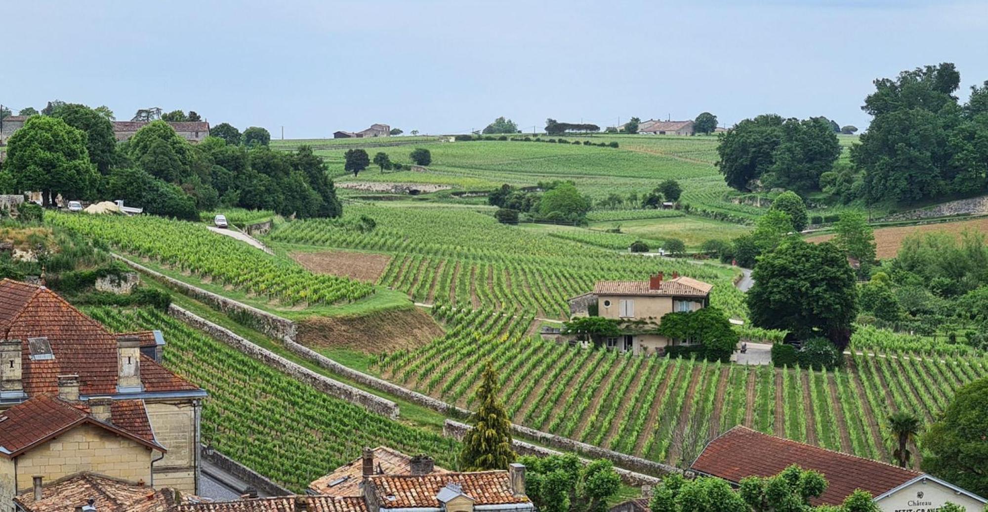 Maison Cosy Avec Vue Sur Les Vignes. Libourne Exteriér fotografie