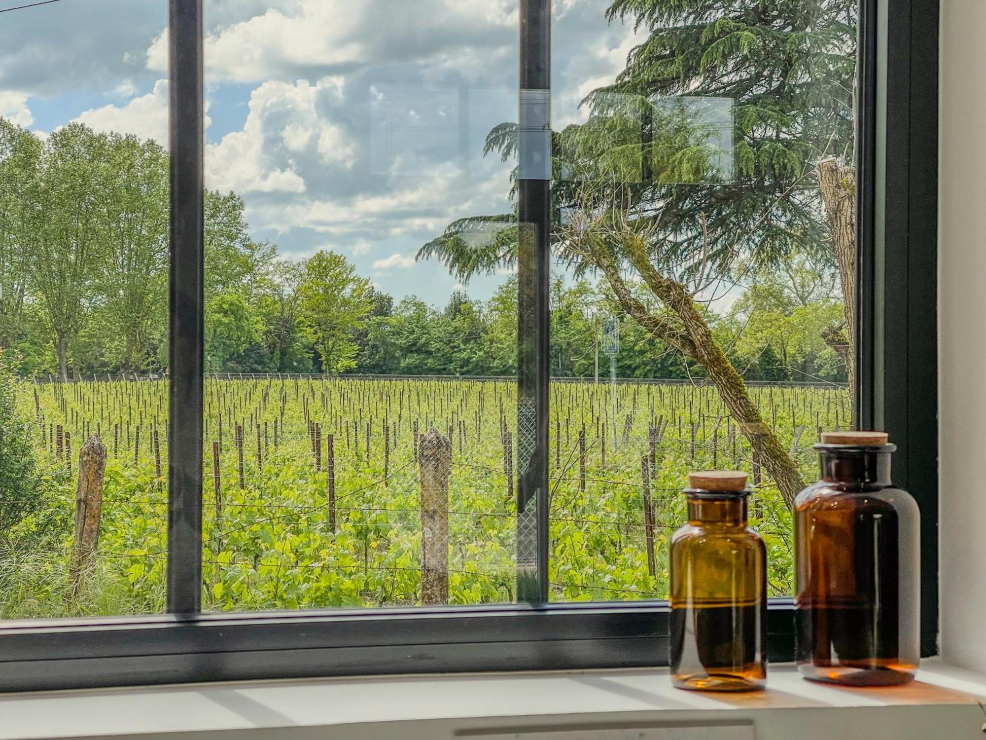 Maison Cosy Avec Vue Sur Les Vignes. Libourne Exteriér fotografie